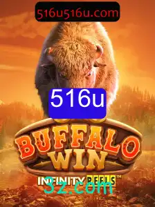 BuffaloWin: Uma Jornada Inovadora no Mundo dos Jogos
